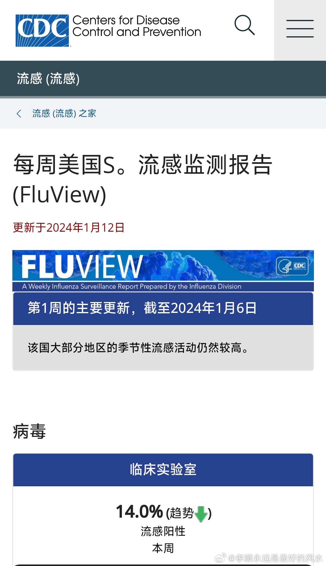 流感最新报告，全面指南与详解步骤